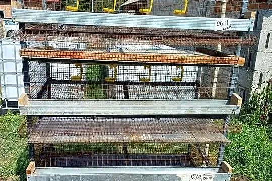 Klatka dla przepiórek metalowa