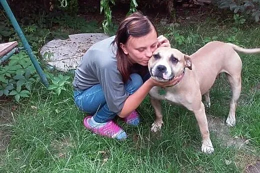 Młoda, przyjazna i grzeczna Liza &#8211; AMSTA