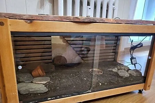 Terrarium, Opolskie, Opole