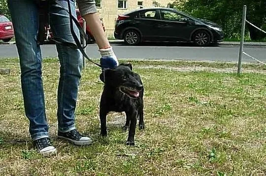 Mała MOLLY czeka na uśmiech losu