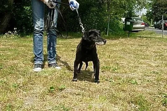 Mała MOLLY czeka na uśmiech losu