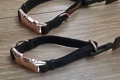 Obroża szeroka z klamra metalowa DINO, Mazowieckie, Kaliszki