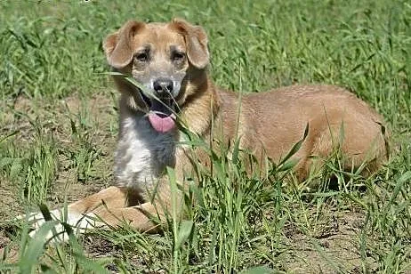 Clara - wciąż czeka na człowieka ...,  pomorskie W