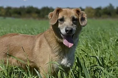 Clara - wciąż czeka na człowieka ...,  pomorskie W