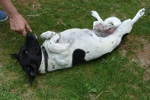 Malutka i młoda Milka,  mazowieckie Warszawa