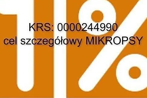 Blondi, miła sunia szuka przyjaznego domu,  mazowi