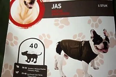 kurtka dla psa pikowana ciepła rozmiar 40, Łódzkie, Błaszki