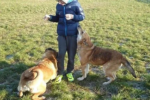 Szukam milosci od zaraz,  Kundelki cała Polska