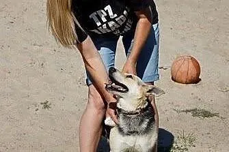 Chudy – cudny psiak  szuka domu,  małopo