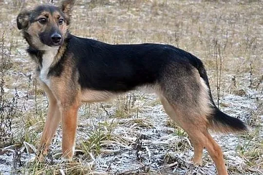 Sara - delikatna, cudowna dziewczynka :)