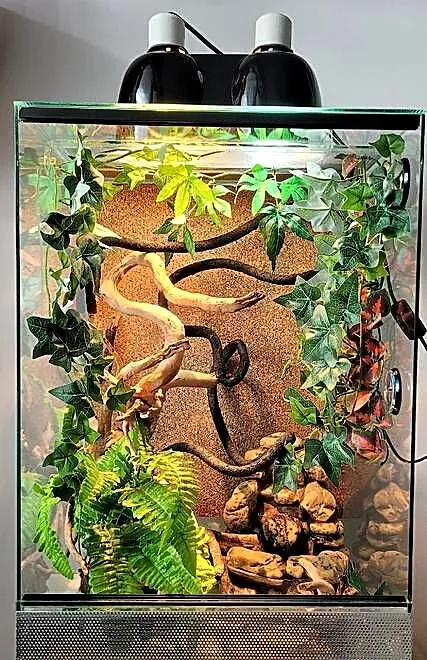 Terrarium z wyposażeniem, Mazowieckie, Pruszków