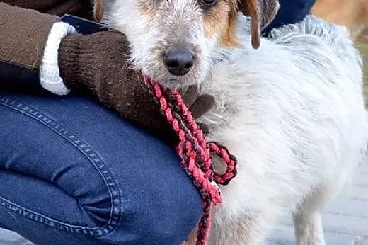 Rany Julek! Jaki cudny Julek! :),  warmińsko-mazur