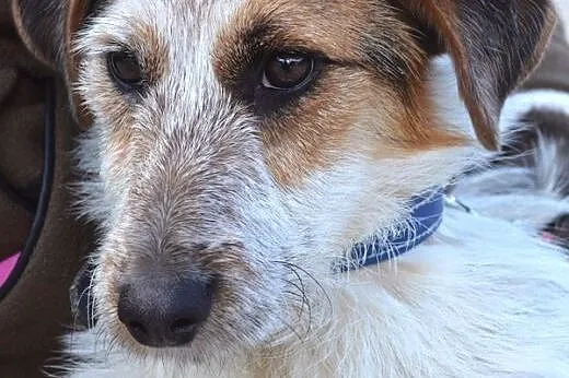 Rany Julek! Jaki cudny Julek! :),  warmińsko-mazur