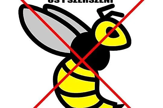 Usuwanie os i szerszeni, likwidacja gniazd, Komarówka Podlaska i okolice, Lubelskie