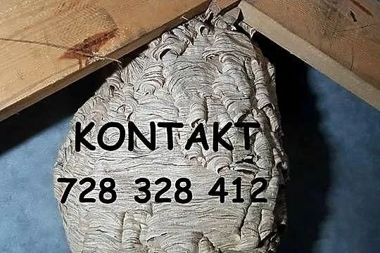 Usuwanie os i szerszeni, likwidacja gniazd, Komarówka Podlaska i okolice, Lubelskie