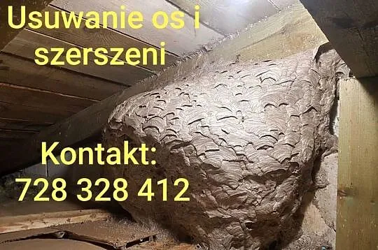 Usuwanie os i szerszeni, likwidacja gniazd, Komarówka Podlaska i okolice, Lubelskie