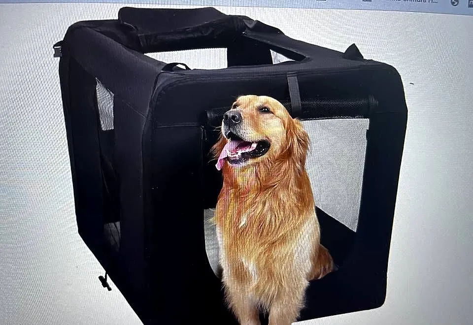 Transporter dla psa Feandrea czarny XXL, Dolnośląskie, Mazurowice