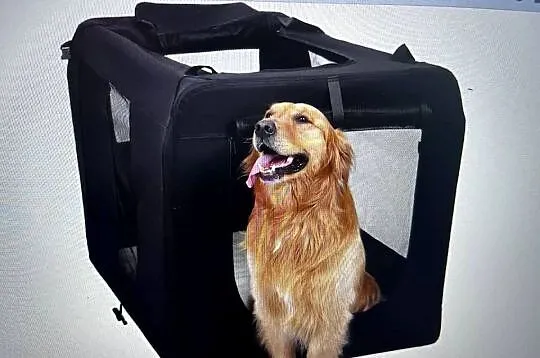 Transporter dla psa Feandrea czarny XXL, Dolnośląskie, Mazurowice