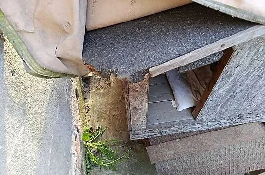 buda dla psa, Lubuskie, Żagań