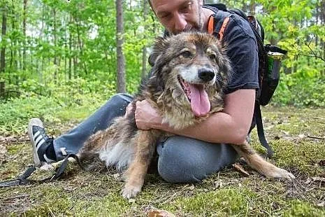 Cudowny, rozbrajający kudłacz Osa do pokochania!, 