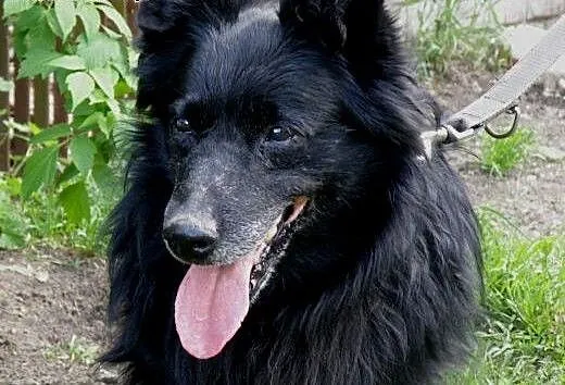 Tobi czy będzie jeszcze szczęśliwy , mazowieckie