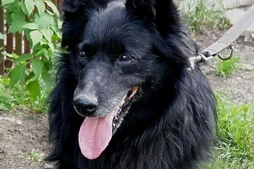 Tobi czy będzie jeszcze szczęśliwy  ,  mazowieckie
