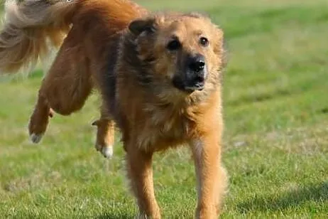 Gdybyś przyszedł i powiedział- Teddy ze mna chodź.