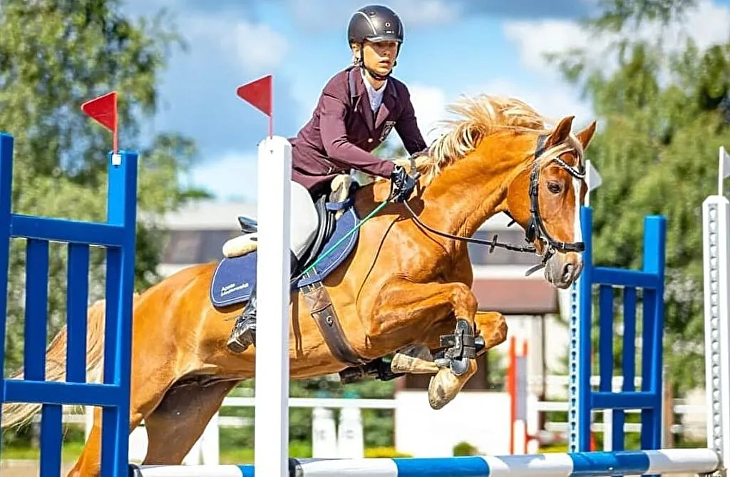 Kuc sportowy gr. D, 146 cm, 12 lat - sprzedaż lub dzierżawa, Wielkopolskie, Swarzędz