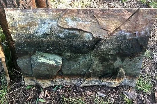 Tło strukturalne do akwarium 3D, Mazowieckie, Zielonka