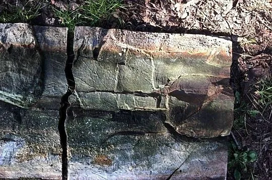 Tło strukturalne do akwarium 3D, Mazowieckie, Zielonka