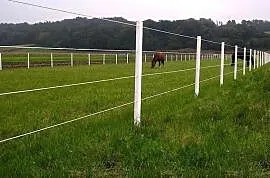 Equisafe - ogrodzenia elektryczne dla koni , pastu