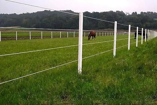 Equisafe - ogrodzenia elektryczne dla koni , pastu