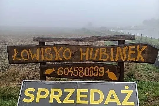 Sprzedaż karpia