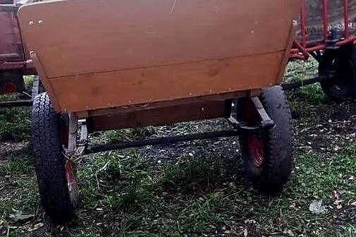 Sprzedam byczki konne, Łódzkie, Proboszczowice