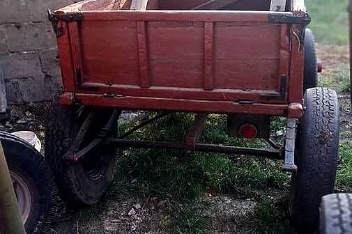 Sprzedam byczki konne, Łódzkie, Proboszczowice