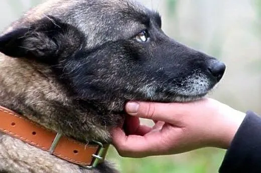 Salsa- zatańczę w Twoim serduszku,  mazowieckie No