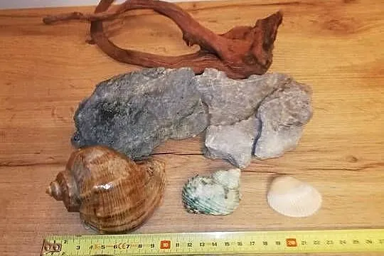 Dekoracje naturalne do akwarium - Tanio, Mazowieckie, Warszawa
