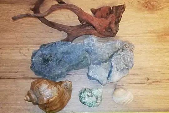 Dekoracje naturalne do akwarium - Tanio, Mazowieckie, Warszawa
