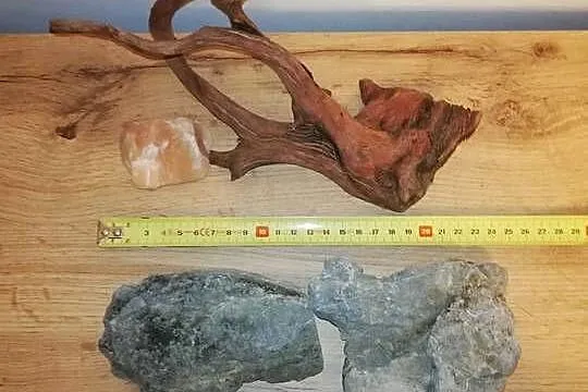 Dekoracje naturalne do akwarium - Tanio, Mazowieckie, Warszawa
