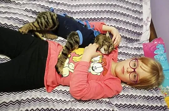 Lili, cudny przytulas, przyjazna koteczka do adopc