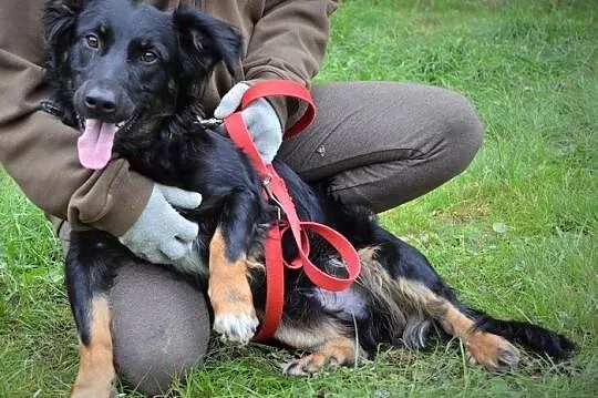 Cudny Czantor - najpiękniejszy :)