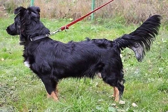 Cudny Czantor - najpiękniejszy :)