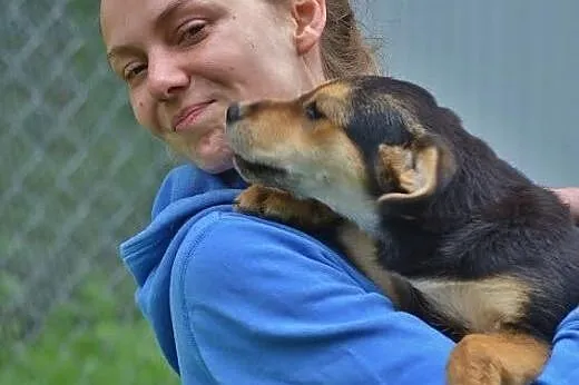 Slodka, urocza psia dziewczynka prosi o dom,  mazo