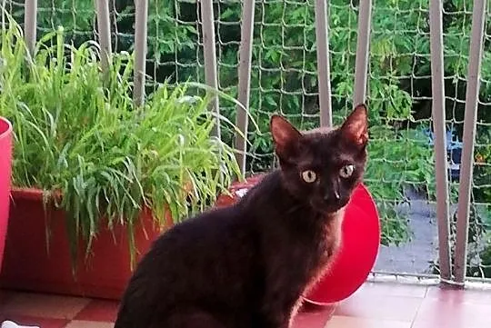 Bruce i Selina szukają domu, Łódzkie, Łódź