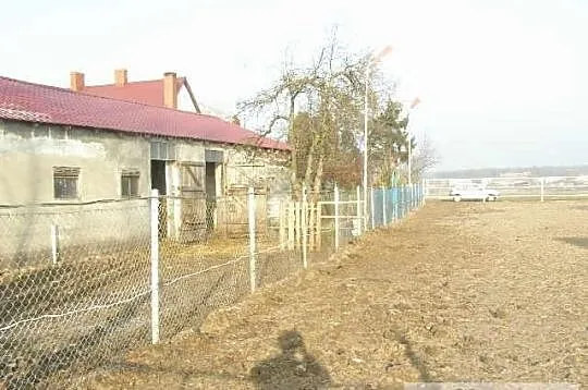 PENSJONAT DLA KONI Hotel dla koni Szamotu?y ko?o P
