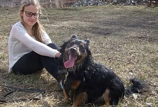 Kudłaty Nero szuka domu , dolnośląskie Wałbrzych
