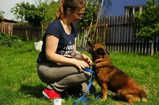 Augustek pyta, czy ktoś o niego jeszcze zapyta..?, Łódzkie, Łódź