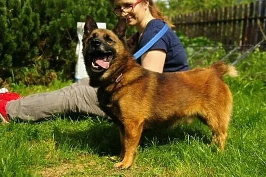 Augustek pyta, czy ktoś o niego jeszcze zapyta..?, Łódzkie, Łódź