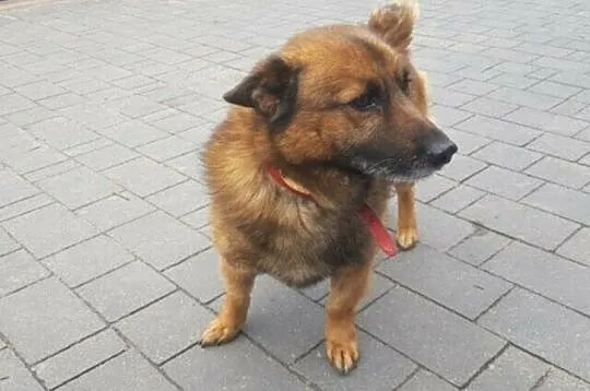 Augustek pyta, czy ktoś o niego jeszcze zapyta..?, Łódzkie, Łódź