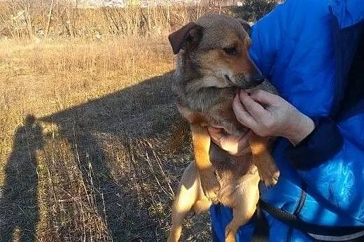 Maleńka Mimi czeka na dom, kujawsko-pomorskie Toruń